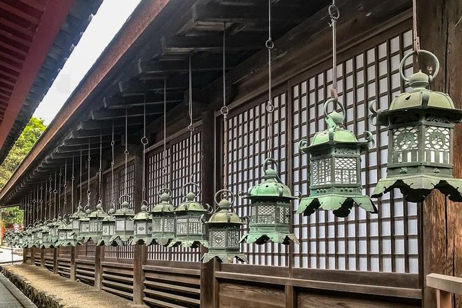 Nara Private Day Trip - Enjoy Your First-Time Visit to Nara! - Highlights of the Tour