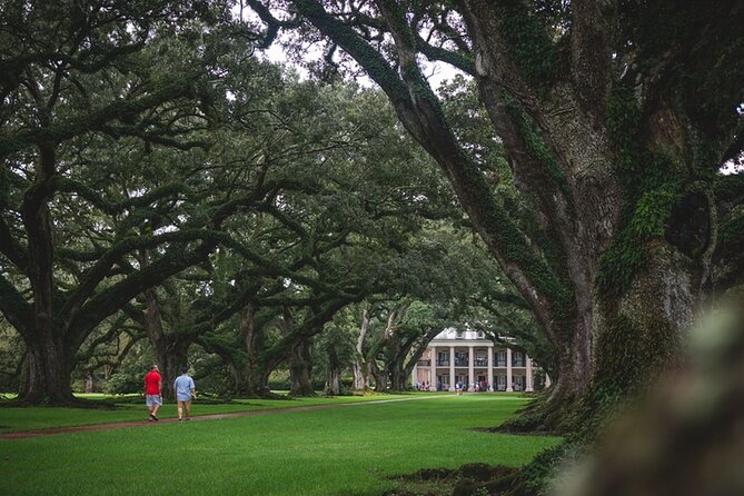 New Orleans Garden District Walking Tour - Cancellation Policy and Tour Operation
