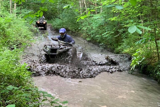 New River Gorge ATV Adventure Tour - Scenic Landscapes and Local Wildlife