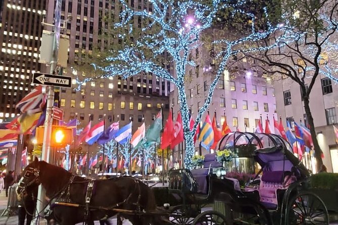 New York City Christmas Lights Private Horse Carriage Ride - Customer Ratings and Feedback