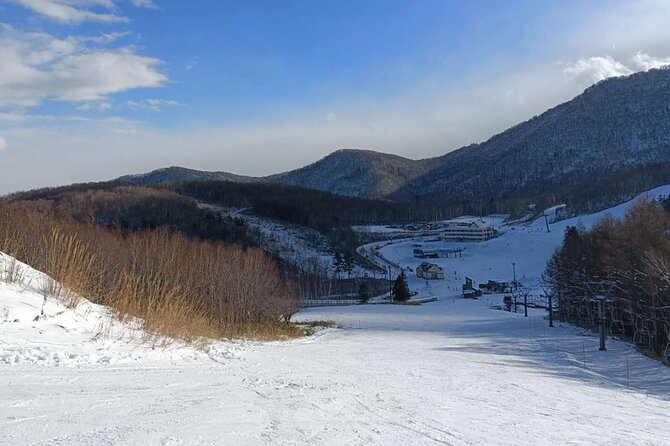 Niseko to Chitose Airport or Sapporo Private Transfer - Pricing and Guarantees