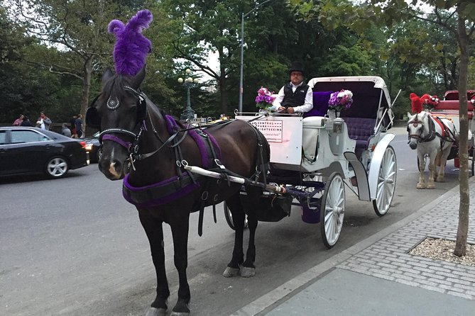 NYC Central Park Horse and Carriage Ride: Long Ride 45 Min - Accessibility and Accommodations