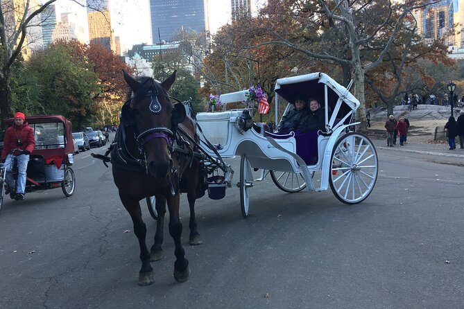 NYC Central Park VIP Horse and Carriage Ride - Tips for a Memorable Experience
