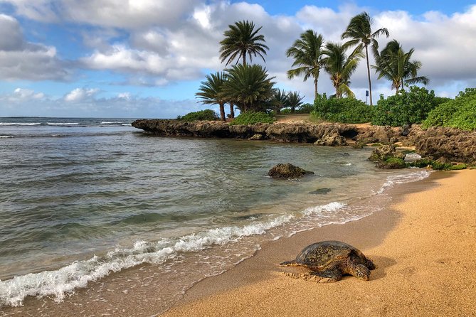 Oahu Island Photography Tour - Customer Feedback