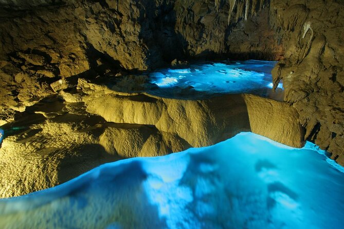 Okinawa Day Tour to the Top Sightseeing Spots - Accessibility and Inclusions
