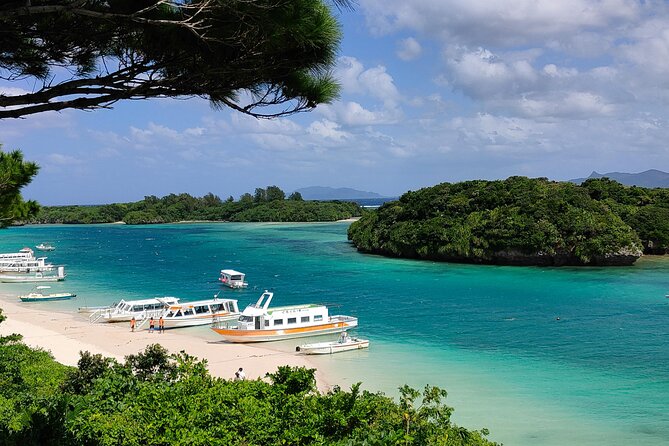 Okinawa Private Full Day Tour With Daily Chauffeur - Accessibility and Travelers