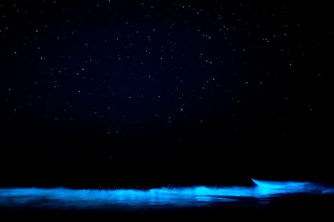 Orlando Bioluminescence Kayak and Swim Adventure - Manatee and Dolphin Encounters