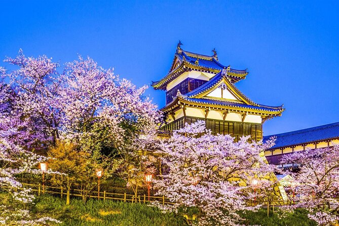 Osaka Kansai Airport to Nara City |A Conveninent Transfer - Vehicle Options and Luggage Allowance