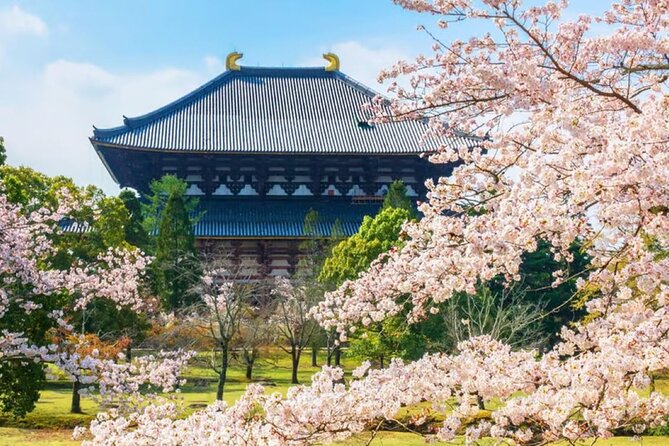 Osaka: Nara, Todaiji, Uji Matcha, and Hot Spring Tour - Marveling at Byodoin Temple