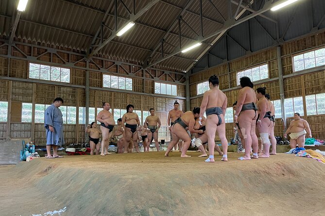 Osaka Sumo Morning Practice Watching Experience - Practical Information for the Sumo Experience