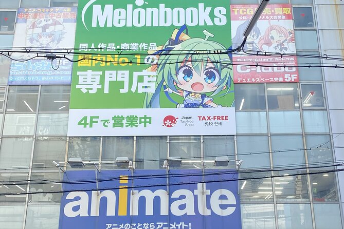 Osakas Anime Culture and History Walking Tour With a Local Guide - Experiencing Traditional Japanese Culture