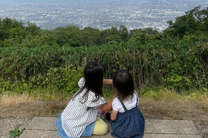 Overlooking the Magnificent View of Osaka - Understanding the Health and Accessibility Considerations