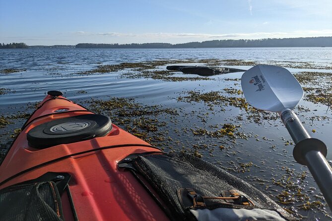 Oyster Tasting and Kayak Tour - Kayaking Adventure Highlights