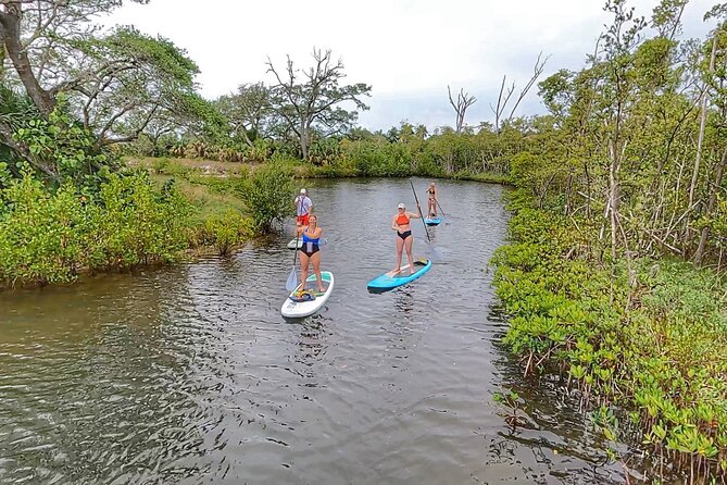 Paddle Boarding Eco Adventure Tour Jupiter Florida - Singer Island - Exploring the Mangroves