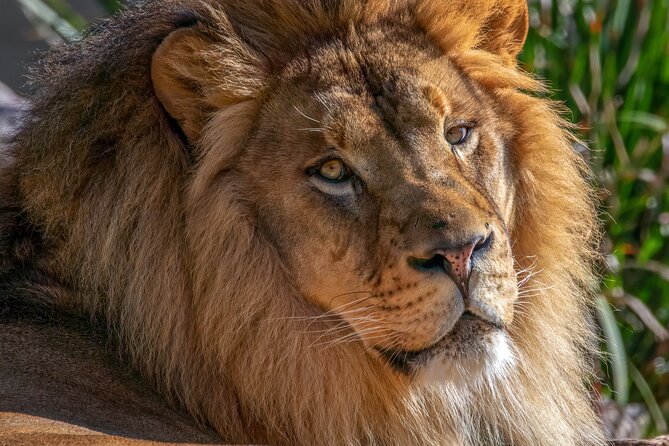 Phoenix Zoo Admission Ticket - Operating Hours and Location