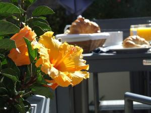 Post Office Hotel - Local Attractions