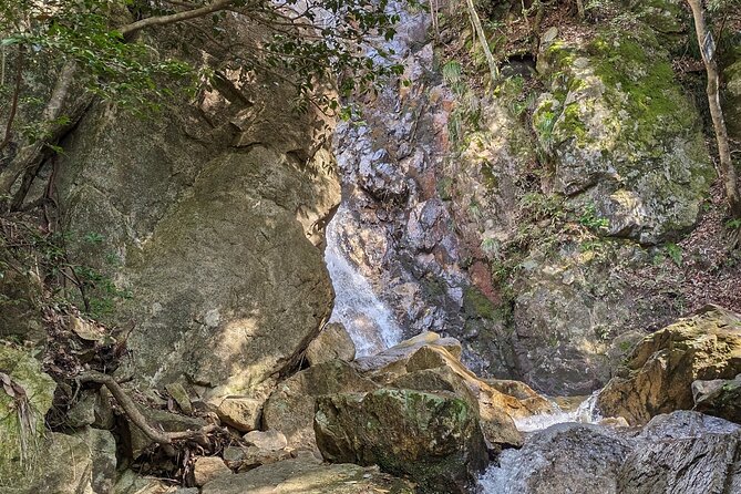 Private 3 Hours Waterfalls Sightseeing Tour
