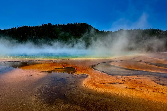 Private All-inclusive Yellowstone Lower Loop"The Volcano" Tours - Enhancing Your Wildlife Viewing