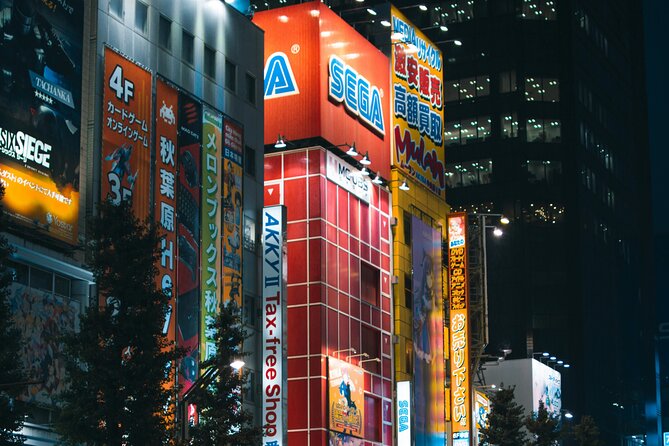 Private Car Tours Explore Tokyo City - Preparing for Your Private Car Tour in Tokyo