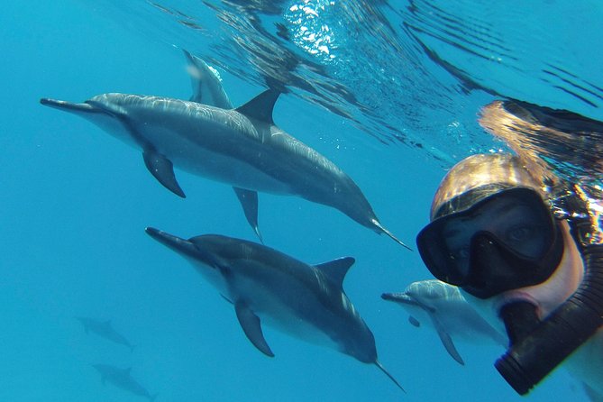 Private Charter: Customizable Big Island Boat Adventure - Meeting and Pickup Details
