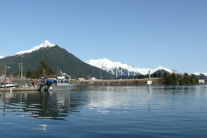 Private Charter Scenic Wildlife Excursion for Cruise Passengers - Customer Reviews and Feedback