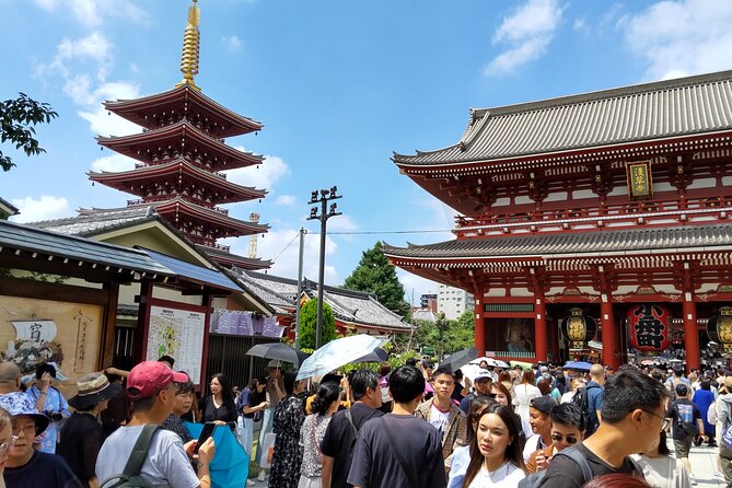 Private Chartered-Taxi Tokyo Tour With Certified Japanese Guide - Accessibility and Health Considerations