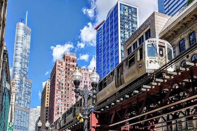 Private Chicago Scenic Driving Tour - Customer Reviews and Feedback