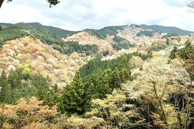 Private Full-Day Guided Tour in Yoshino, Japanese Mountain - Exploring Yoshinoyama