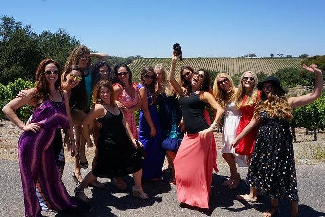 Private Group Wine Tour of Santa Barbara Wine Country - Winery Experiences