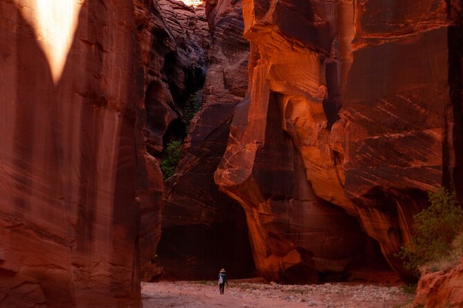 Private Guided Buckskin Gulch Tour Via Wire Pass - Cancellation Policy