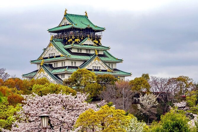 Private Guided Custom Walking Tour in Osaka - Getting the Most Out of Your Experience