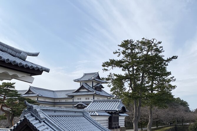 Private Half-Day Kanazawa Walking Tour and Historical Photo Spot - Omicho Market