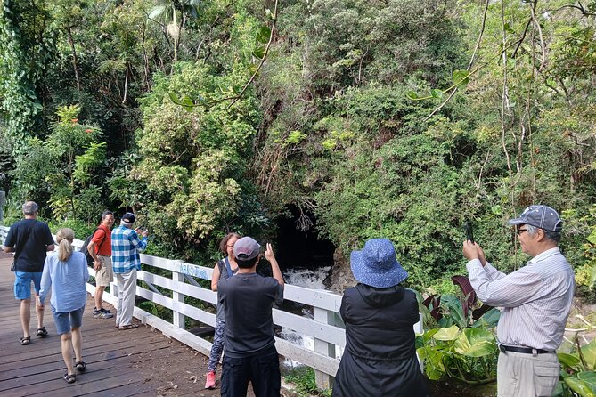 Private Hilo Shore Excursion Volcano National Park up to 14 - Why Choose Hawaii Volcano Tours?