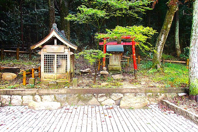 Private Historic Road Hike in the Healing Forest of Arima - Participation Requirements and Accessibility