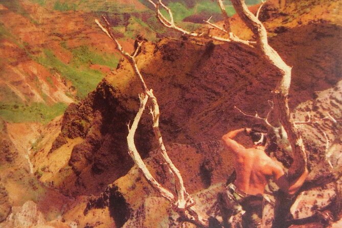 Private Jungle Waterfall Adventure, Wit Da Native Hawaiian Dundee - Safety and Accessibility Considerations