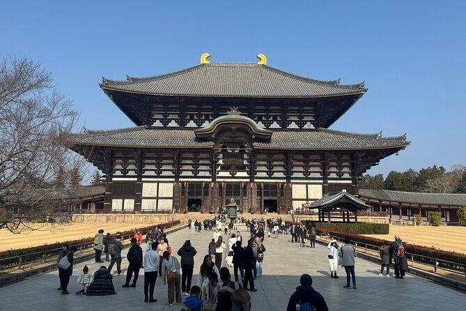 Private Nara Tour and Sake Tasting (Departing From Kyoto/Nara) - Feeding the Deer