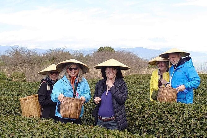 Private Shizuoka Tour From Shizuoka Station /Small Bus - Physical Requirements