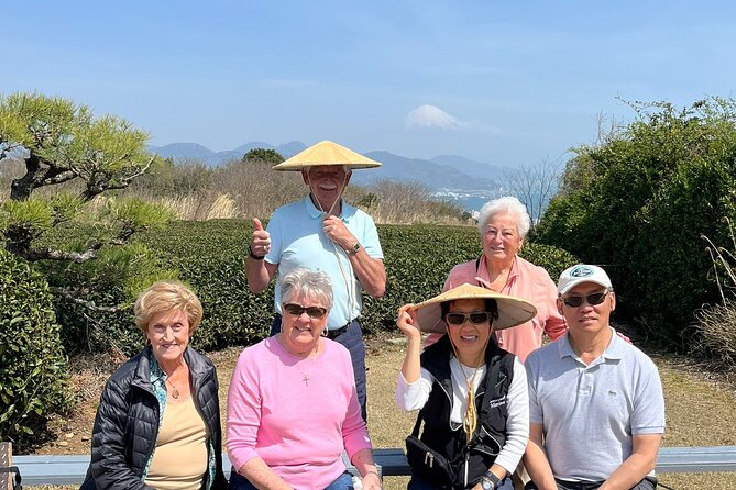 Private Shizuoka Tour From Shizuoka Station / Van Taxi - Shizuoka Station