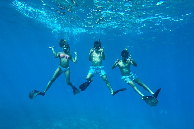 Private Snorkel With Beach Set-Up - Customer Testimonials and Reviews