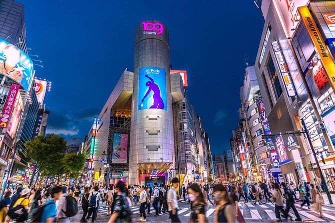 Private Tour in Tokyo 5 Cities and 10 Points Day or Night - Accessibility and Participation