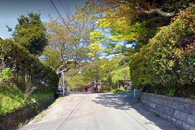 Private Tour Kamakura Yokohama Day Trip With Guide - Discovering Hase-dera Temple