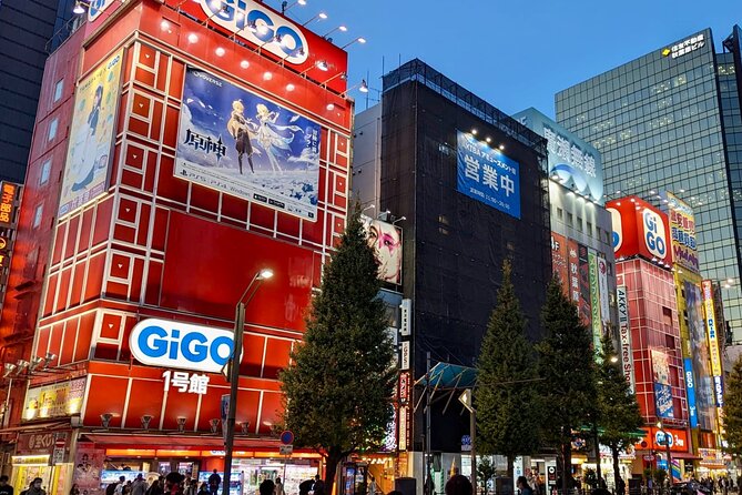 Private Tour Tokyo Otaku Visit Places on Anime and Manga - Exploring Otaku Hotspots in Akihabara