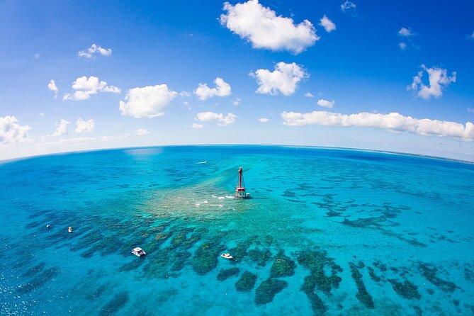 Private Transfer Miami Airport FLL to Miami Hotels or Beach - Customer Support and Assistance