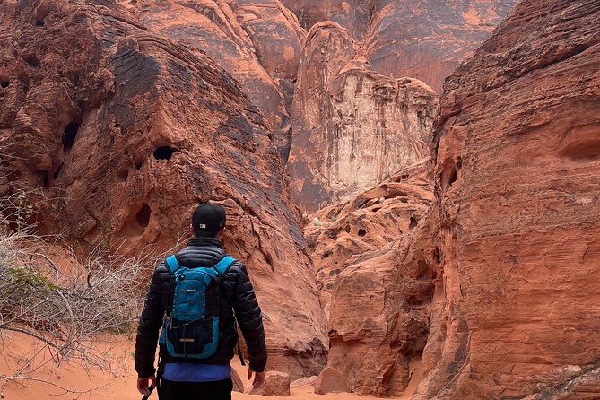 Private Valley of Fire Hiking and Sightseeing Adventure - Ancient Sandstone Formations