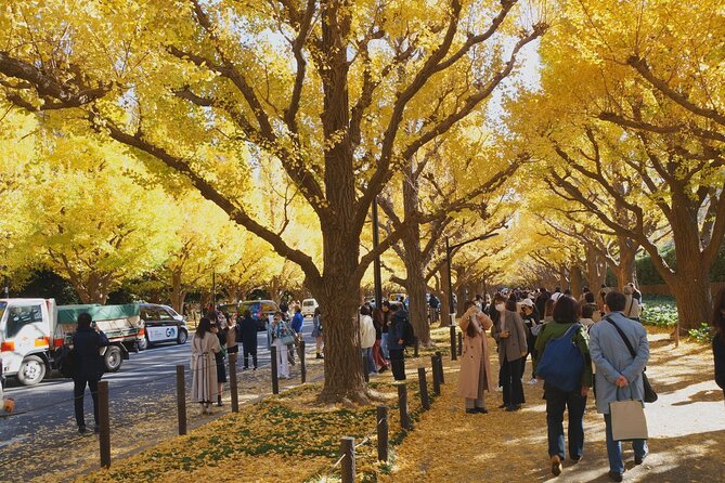 Red, Yellow and Brown - Visit Autumn Leaves Spots in Tokyo - Explore the Vibrant Autumn Foliage