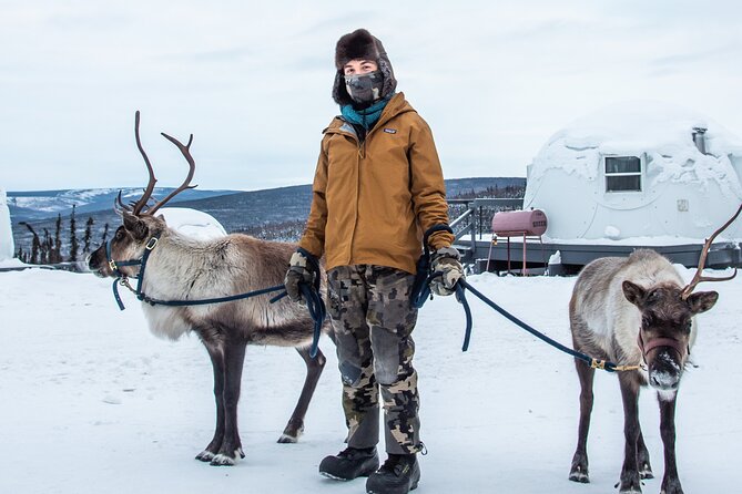 Reindeer and Heli Flightseeing Day Trip With Lunch - Customer Feedback and Insights