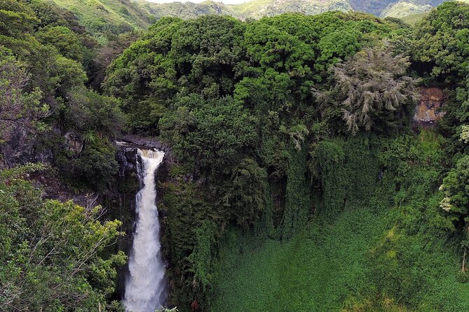 Road to Hana Full Day Tour With a Guide - Accessibility and Participation
