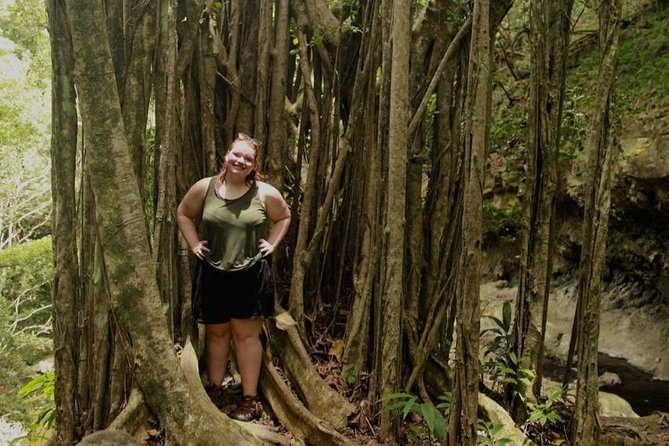 Road to Hana Tour - Highlights of the Road to Hana