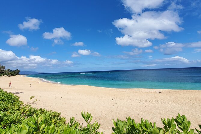 Round Trip North Shore Shuttle From Waikiki to Haleiwa Town / Haleiwa Harbor - Notable Experiences on the North Shore