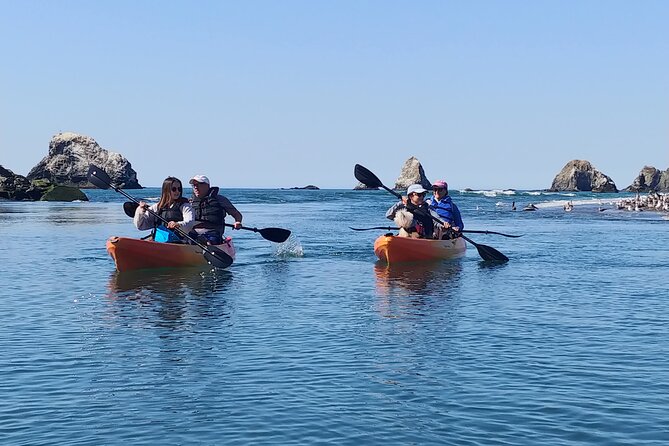 Russian River Kayak Tour at the Beautiful Sonoma Coast - Traveler Reviews